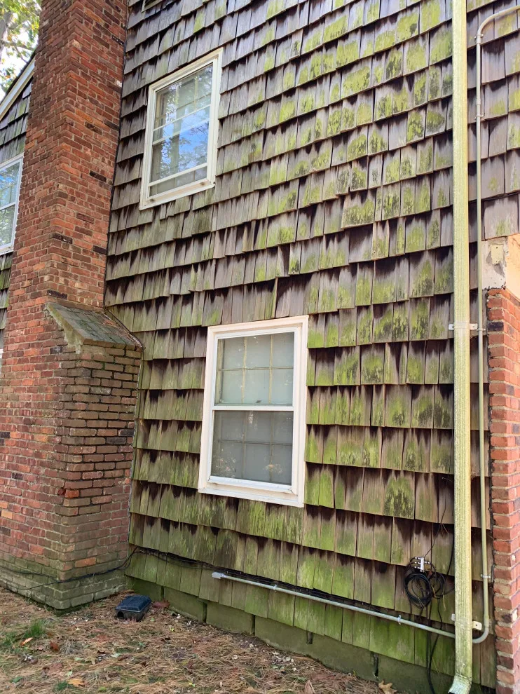Saved!!! by D.A. Modern Touch Painting & Carpentry LLC - Photo 22