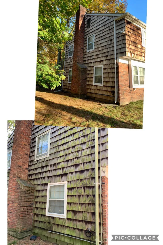 Saved!!! by D.A. Modern Touch Painting & Carpentry LLC - Photo 26