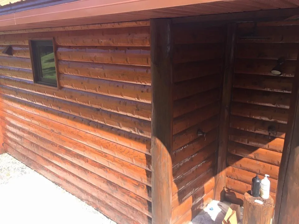 Fox Project by Flow's Painting LLC - Photo 5