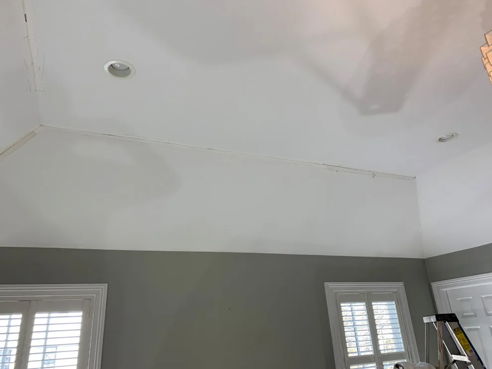 Master Bedroom Ceiling Resurfacing by D.A. Modern Touch Painting & Carpentry LLC - Photo 4