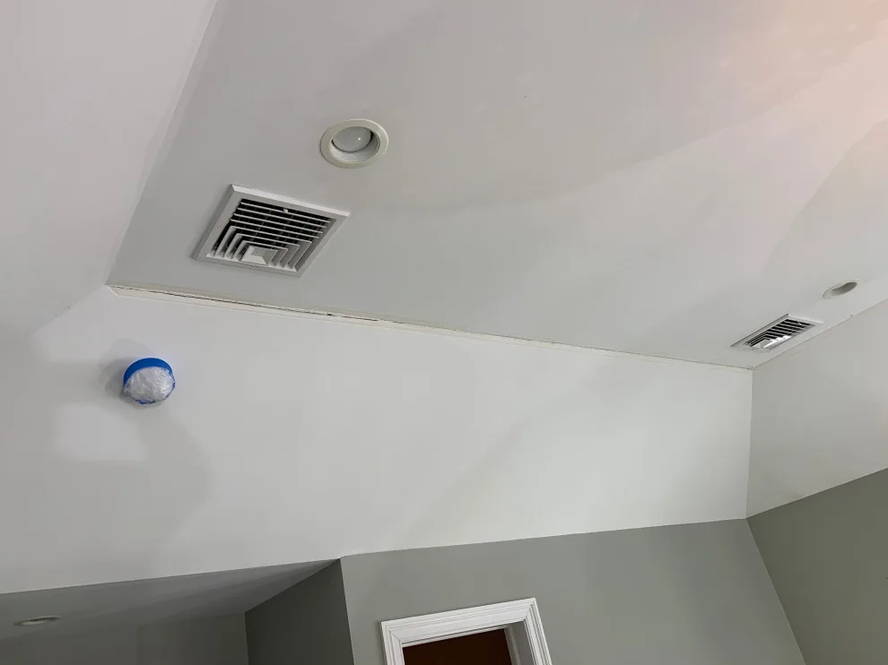 Master Bedroom Ceiling Resurfacing by D.A. Modern Touch Painting & Carpentry LLC - Photo 23