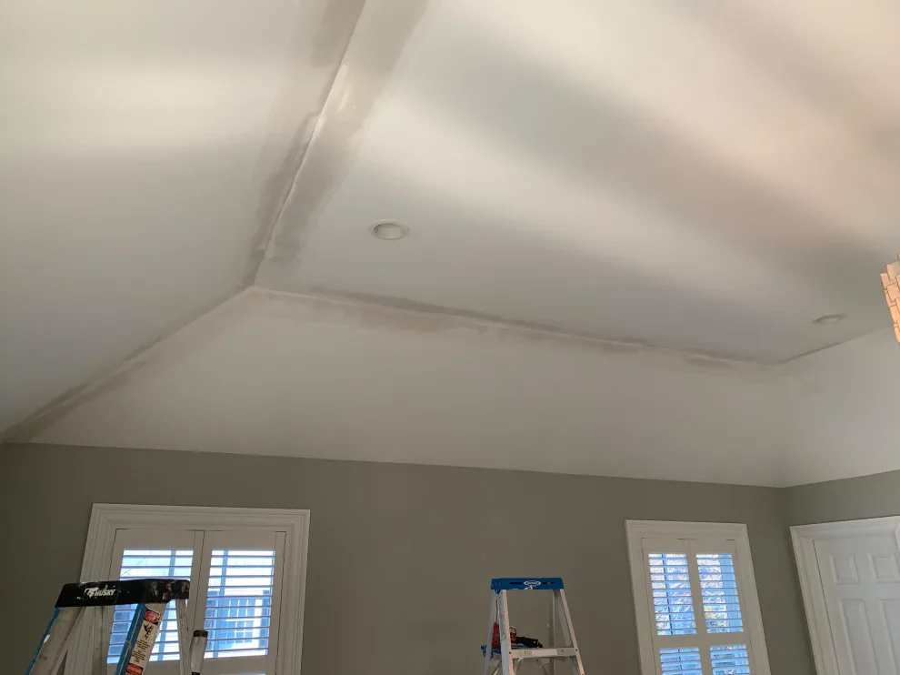 Master Bedroom Ceiling Resurfacing by D.A. Modern Touch Painting & Carpentry LLC - Photo 9