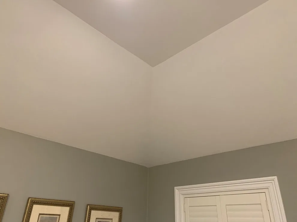 Master Bedroom Ceiling Resurfacing by D.A. Modern Touch Painting & Carpentry LLC - Photo 16