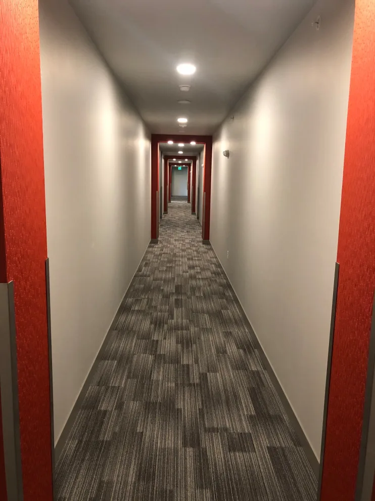 Laurel Apartment Mural by Fine Finishes, Inc. - Photo 12