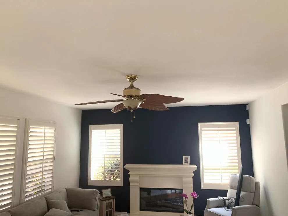 Elevated Ceiling by San Diego Master Painting LLC - Photo 3