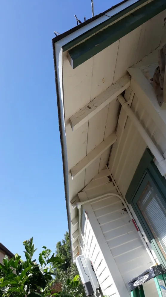 Outdoor Coating by San Diego Master Painting LLC - Photo 12