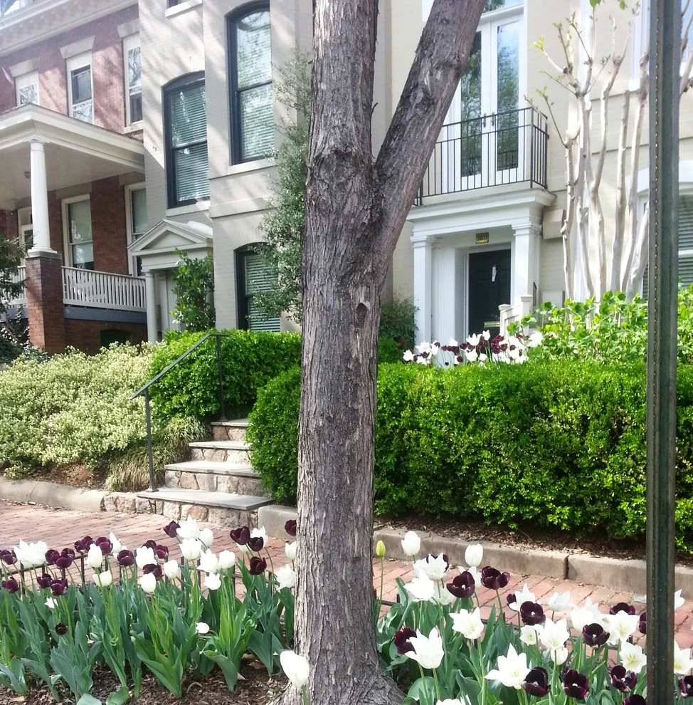 Gardens Remembered, LLC - Photo 8
