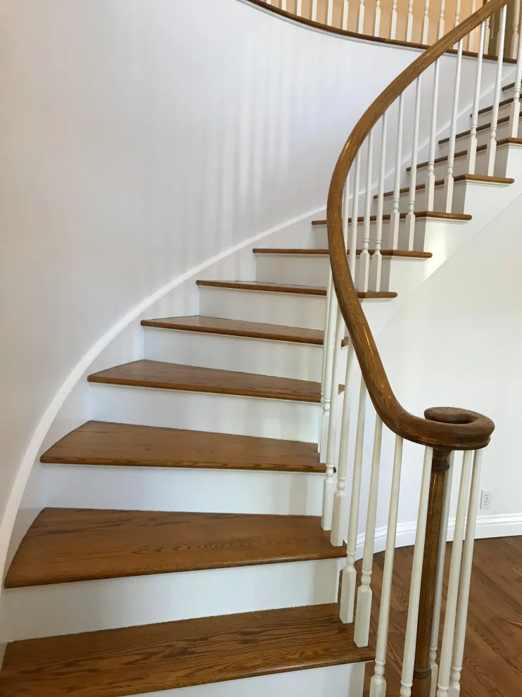 Entrance and Corridor by D.A. Modern Touch Painting & Carpentry LLC - Photo 37