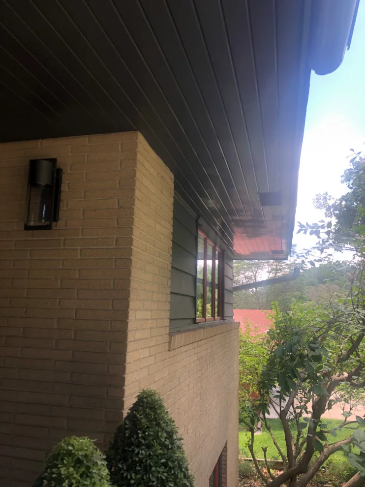 Wildscorpion Painting Services LLC - Photo 2