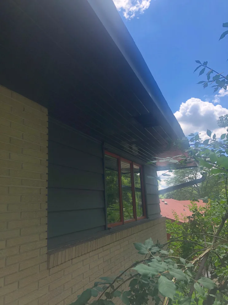 Wildscorpion Painting Services LLC - Photo 4