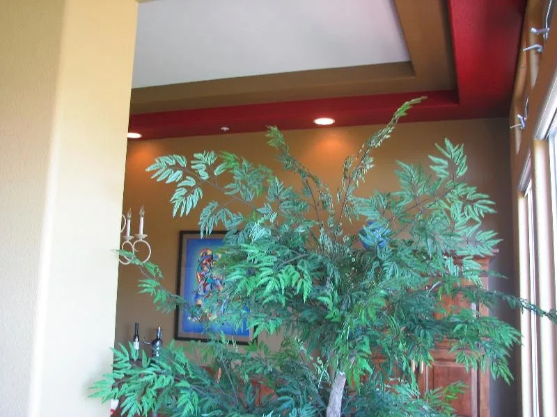 Interior and Exterior Initiatives by True Colors Painting - Photo 3