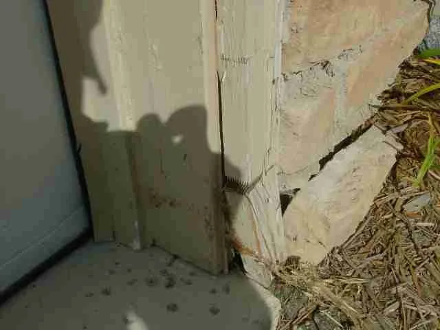 Interior Design by In And Out Painting LLC. - Photo 17