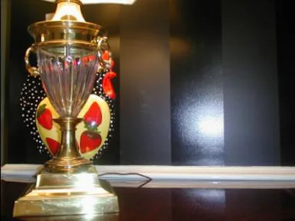 Interior Decorating with Paint by Favor And Samples Painting - Photo 5