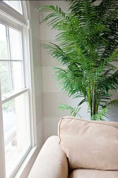 Lounge Area by Williams Professional Painting - Photo 17