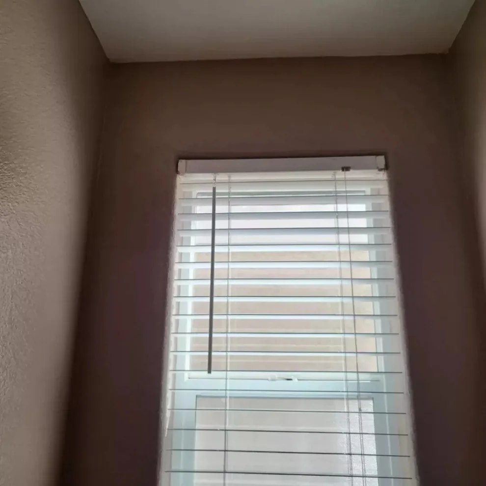 alter hues by Antonio's Painting Services - Photo 17