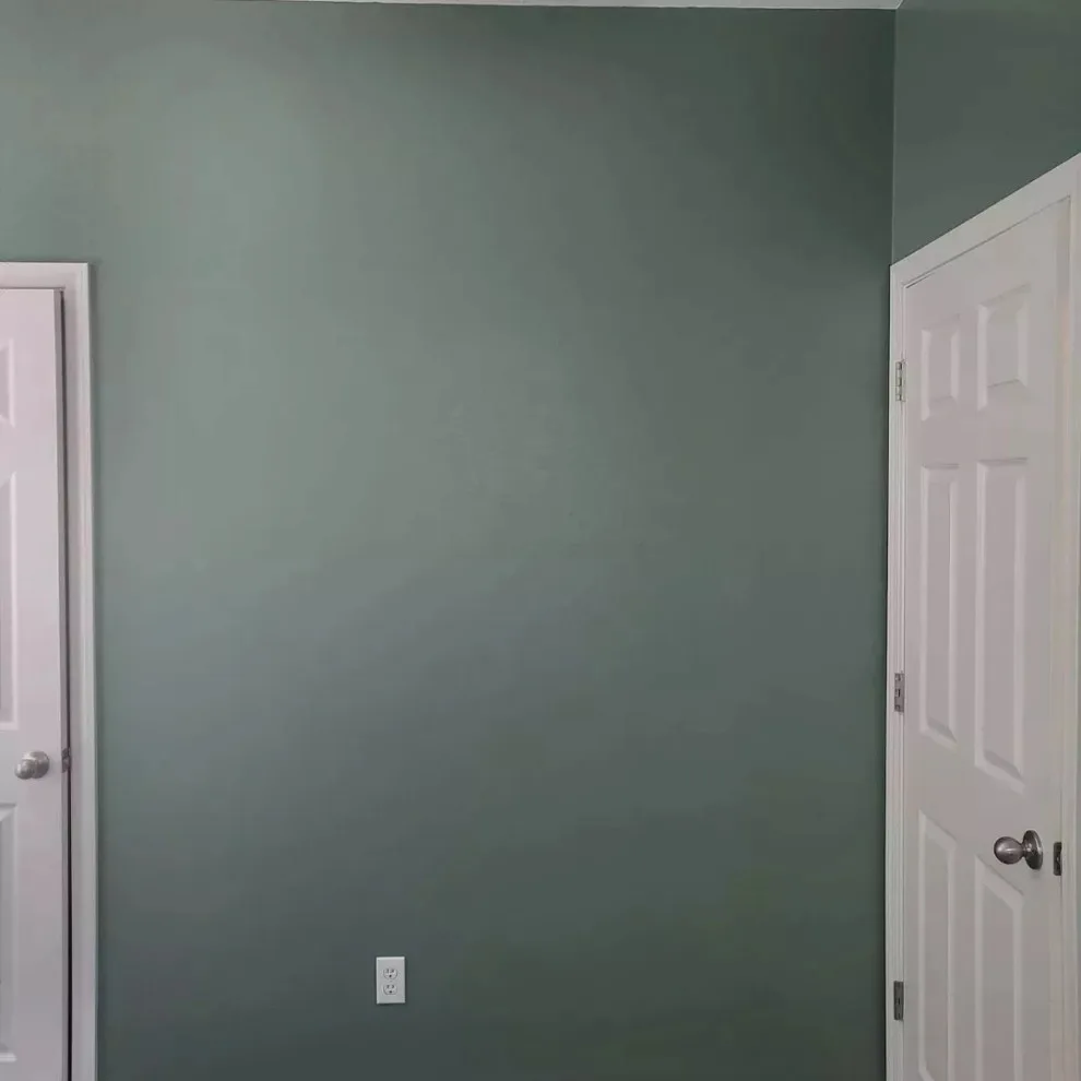 alter hues by Antonio's Painting Services - Photo 11
