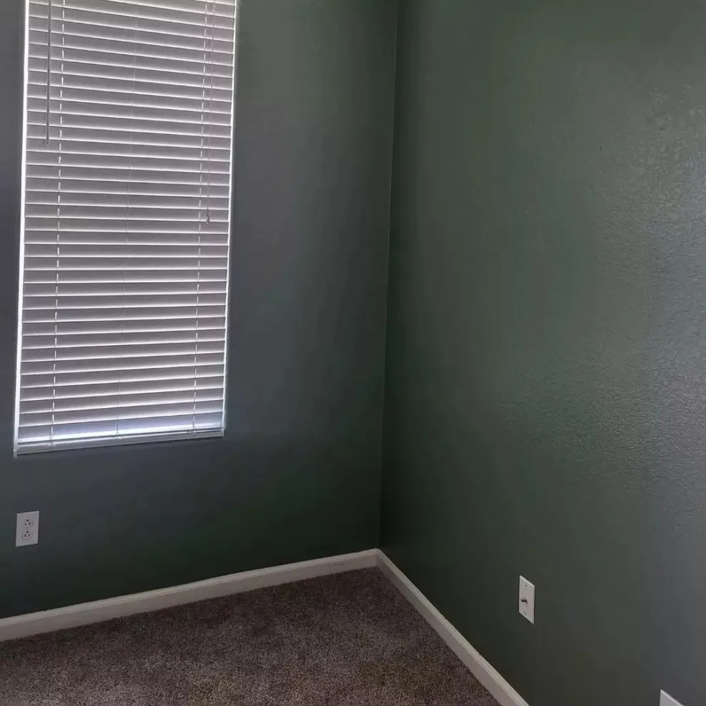 alter hues by Antonio's Painting Services - Photo 4