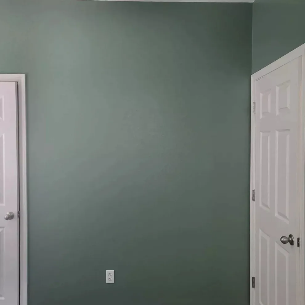 alter hues by Antonio's Painting Services - Photo 10