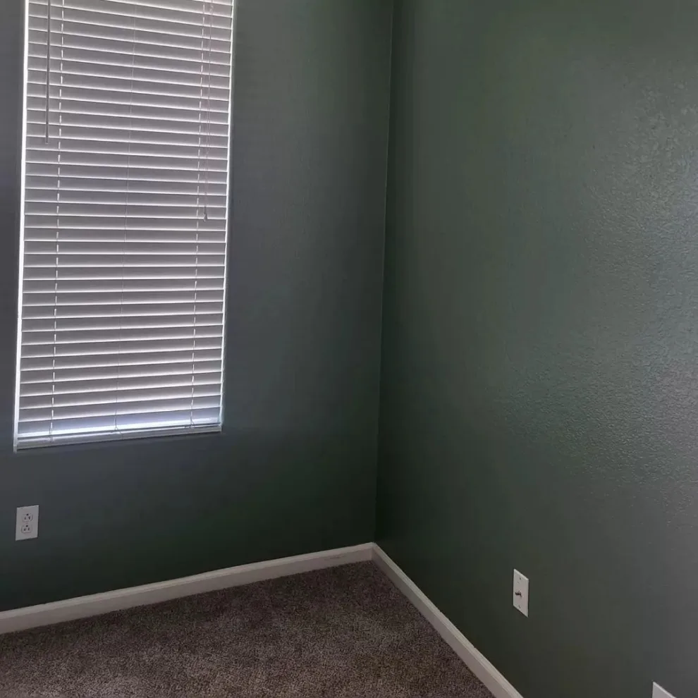 alter hues by Antonio's Painting Services - Photo 6