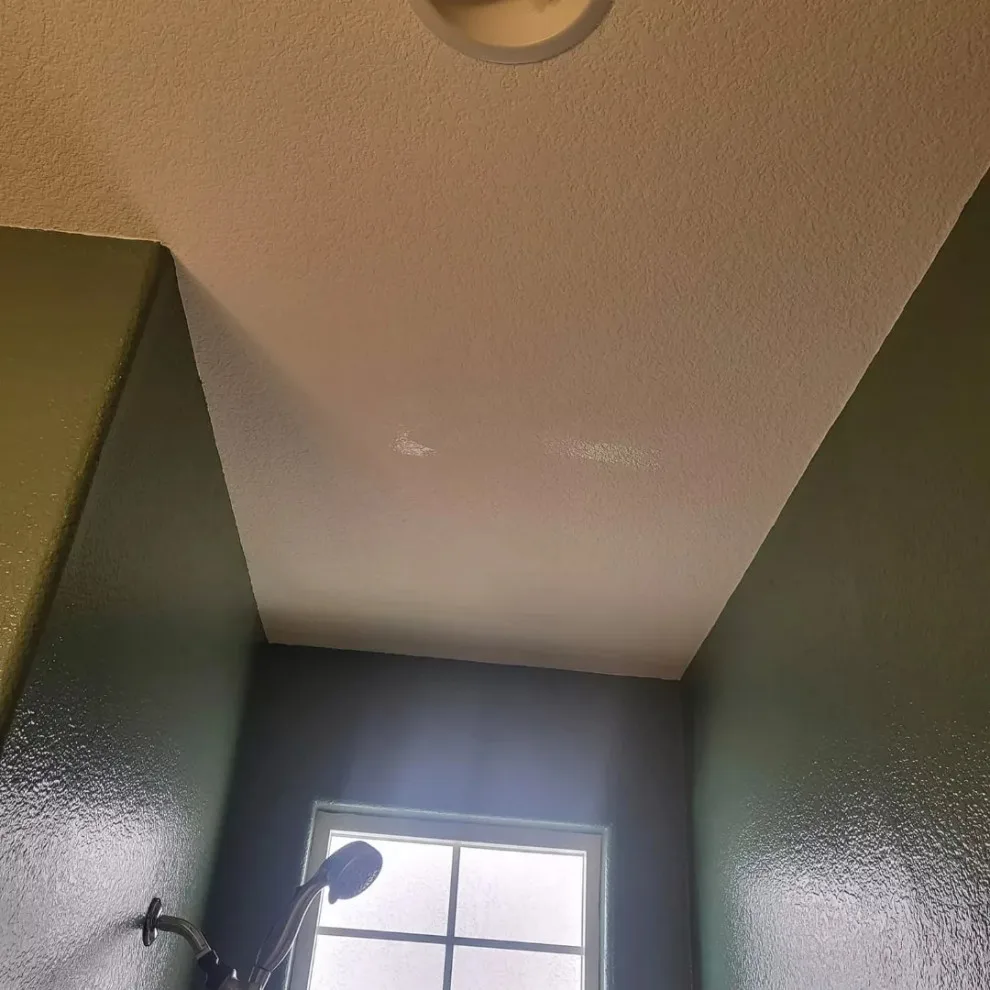alter hues by Antonio's Painting Services - Photo 14