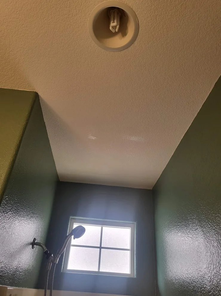 alter hues by Antonio's Painting Services - Photo 9
