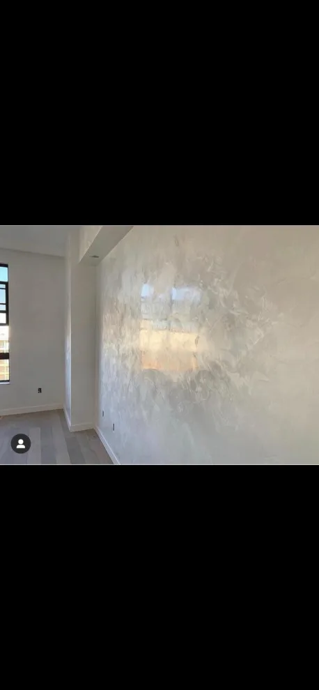 Fresh Examples of Our Recent Wall Art by Star Painters LLC - Photo 4