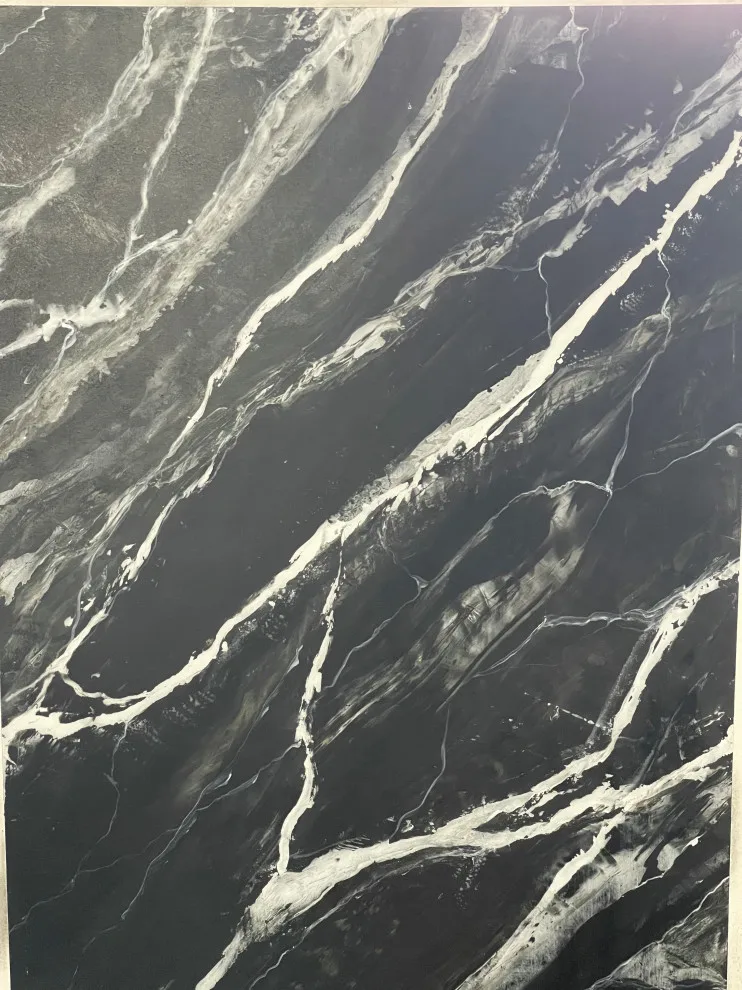 Fresh Examples of Our Recent Wall Art by Star Painters LLC - Photo 15