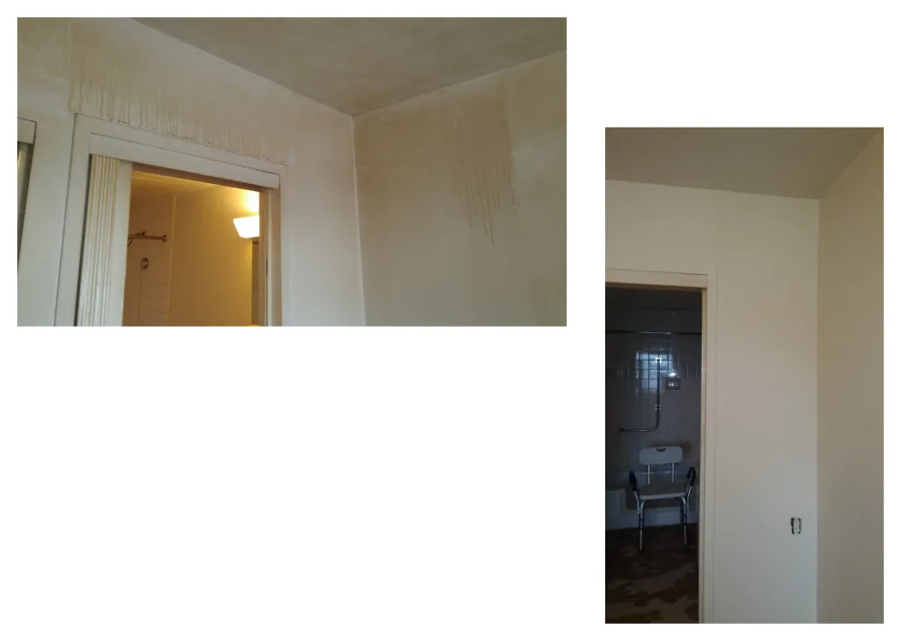 JoJo & TT Paints - Photo 5