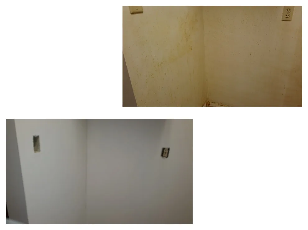 JoJo & TT Paints - Photo 7