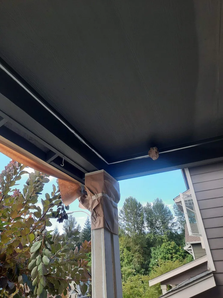 Olympia, WA - Homeowners Association by Looks Like New Painting LLC - Photo 4