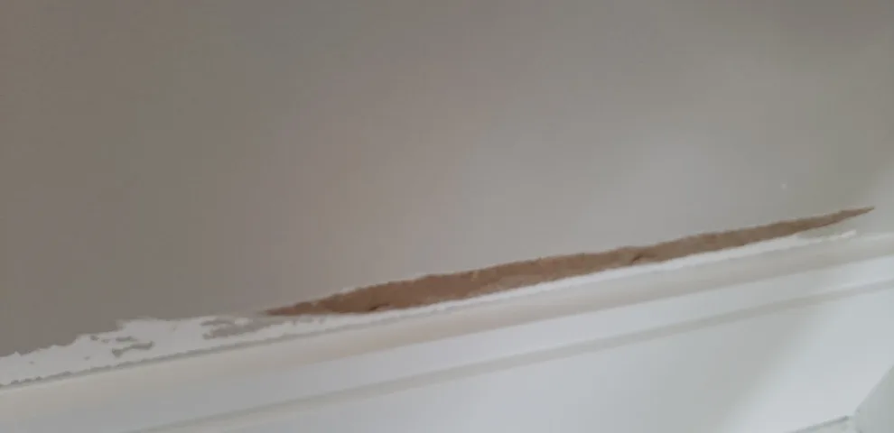 Scott and Oliver's renovation by Signature Look Painting And Decorating, LLC - Photo 2
