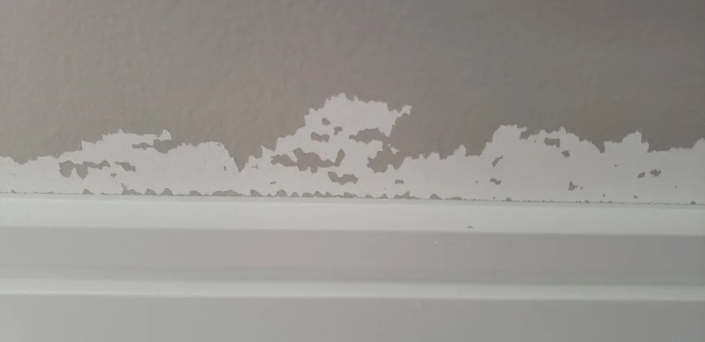 Scott and Oliver's renovation by Signature Look Painting And Decorating, LLC - Photo 14