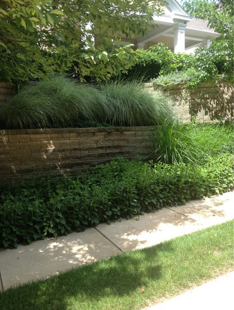 Garrison Landscape - Photo 6