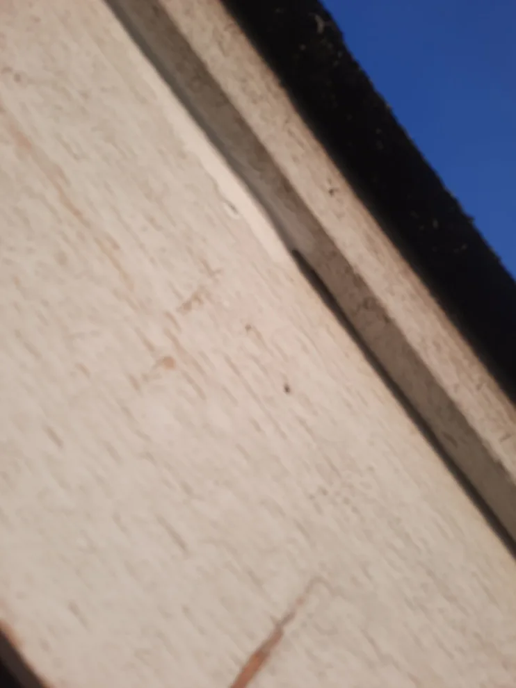 Puyallup, WA - Homeowners Association by Looks Like New Painting LLC - Photo 14