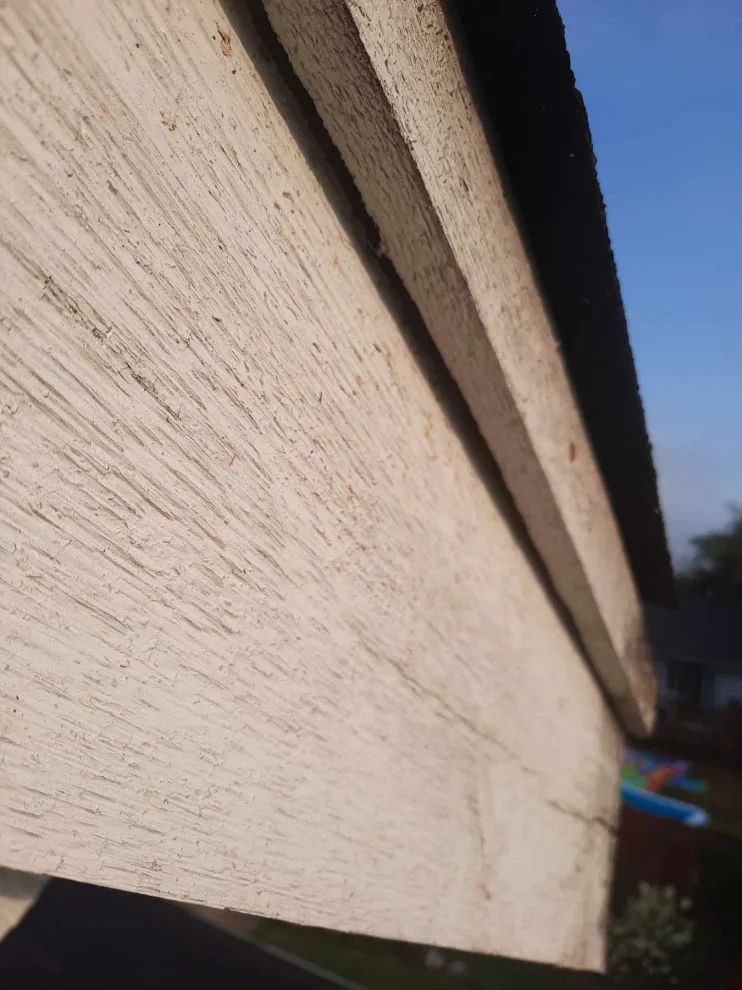 Puyallup, WA - Homeowners Association by Looks Like New Painting LLC - Photo 4