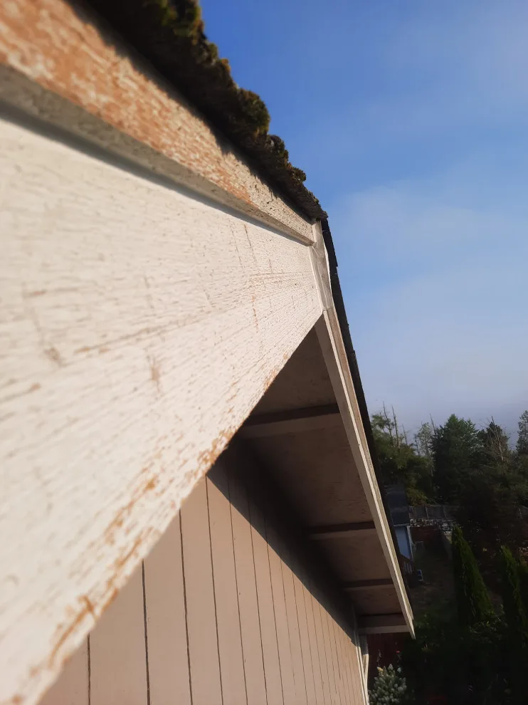 Puyallup, WA - Homeowners Association by Looks Like New Painting LLC - Photo 6