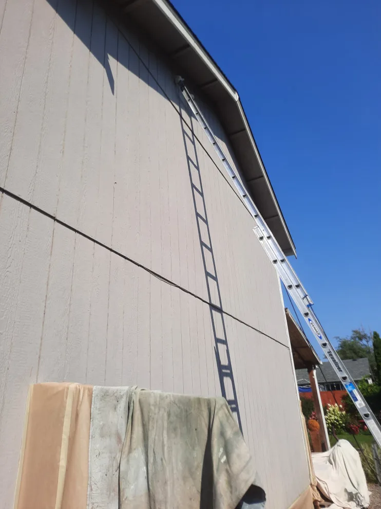 Puyallup, WA - Homeowners Association by Looks Like New Painting LLC - Photo 3