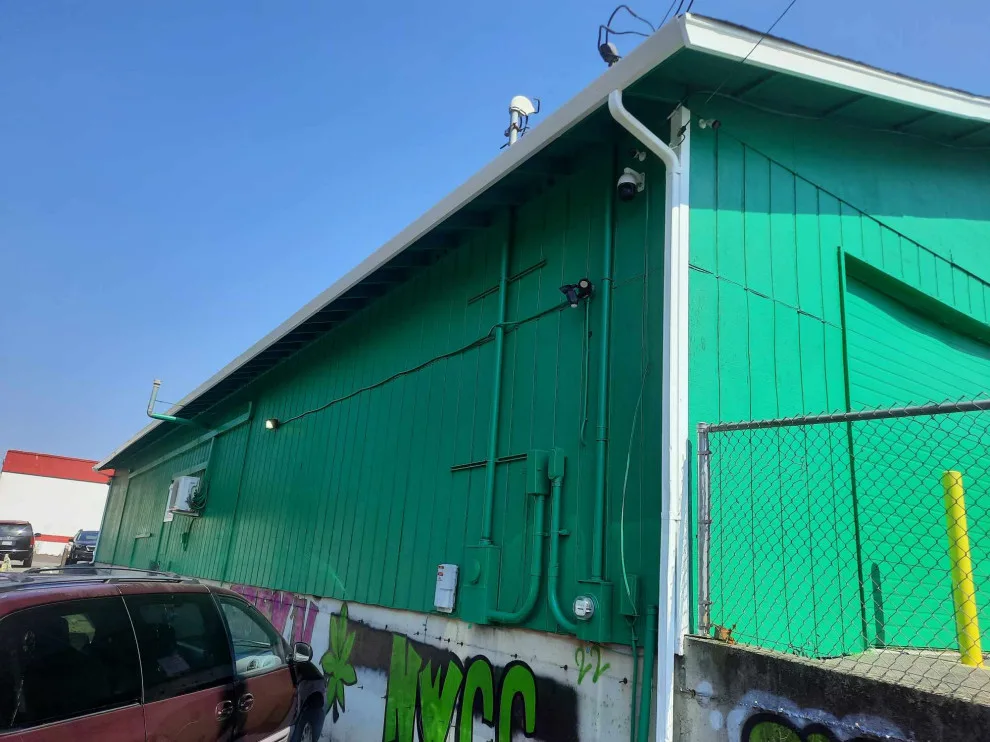 Puyallup, WA - Northwest Cannabis by Looks Like New Painting LLC - Photo 20