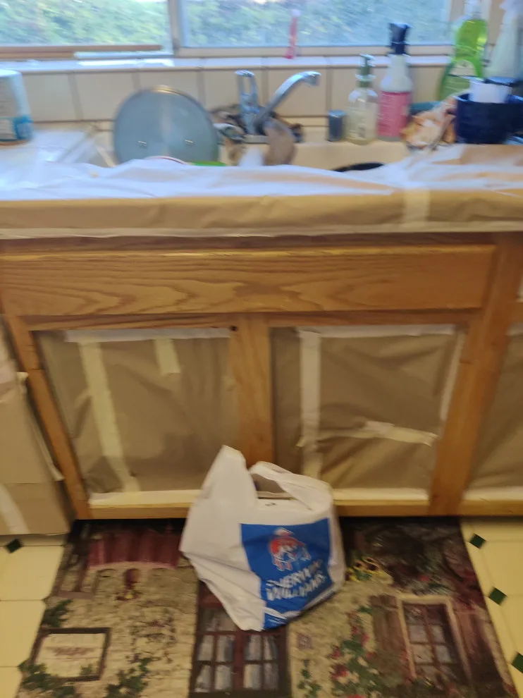 Refinished Kitchen Cabinets by Antonio's Painting Services - Photo 20