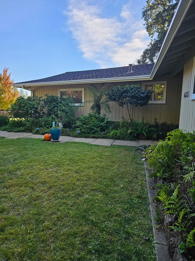 outdoor color update by Antonio's Painting Services - Photo 7