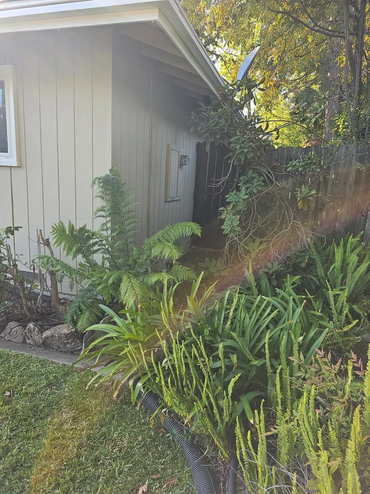 outdoor color update by Antonio's Painting Services - Photo 13