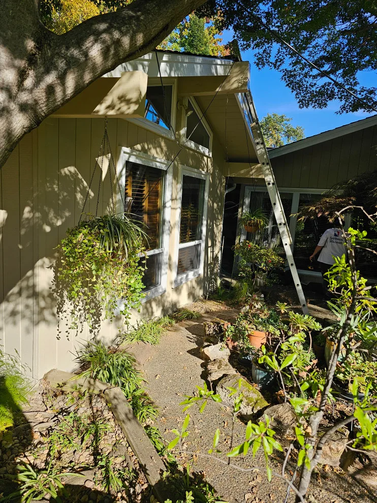 outdoor color update by Antonio's Painting Services - Photo 6