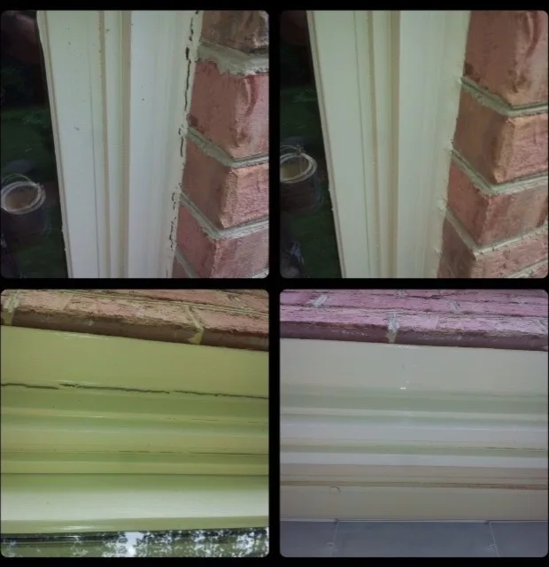 Windows and Entryways by Williams Professional Painting - Photo 7