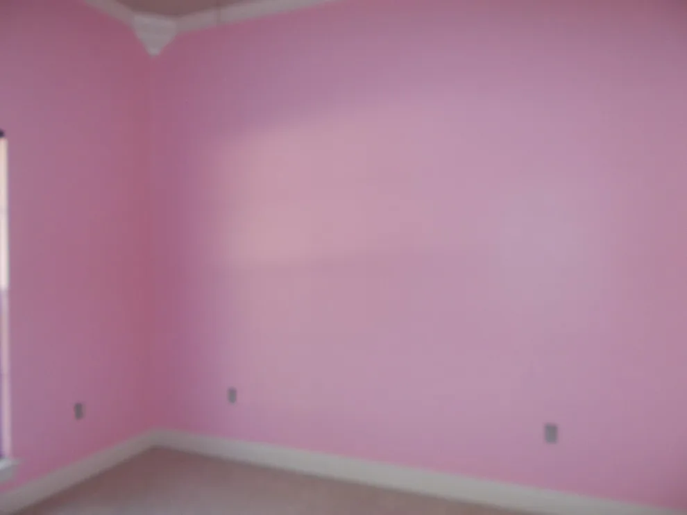 Bayou Bend 2005 by Zion Painting & Drywall LLC - Photo 8