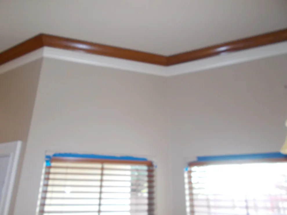 Bayou Bend 2005 by Zion Painting & Drywall LLC - Photo 19