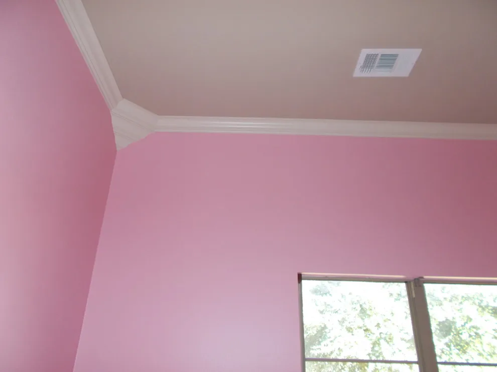 Bayou Bend 2005 by Zion Painting & Drywall LLC - Photo 12