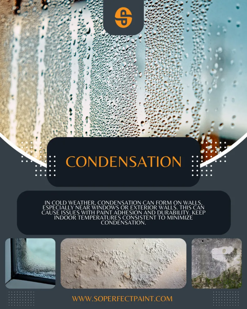 2024 Social Media Advertising by Southern Perfection Painting Inc. - Photo 166