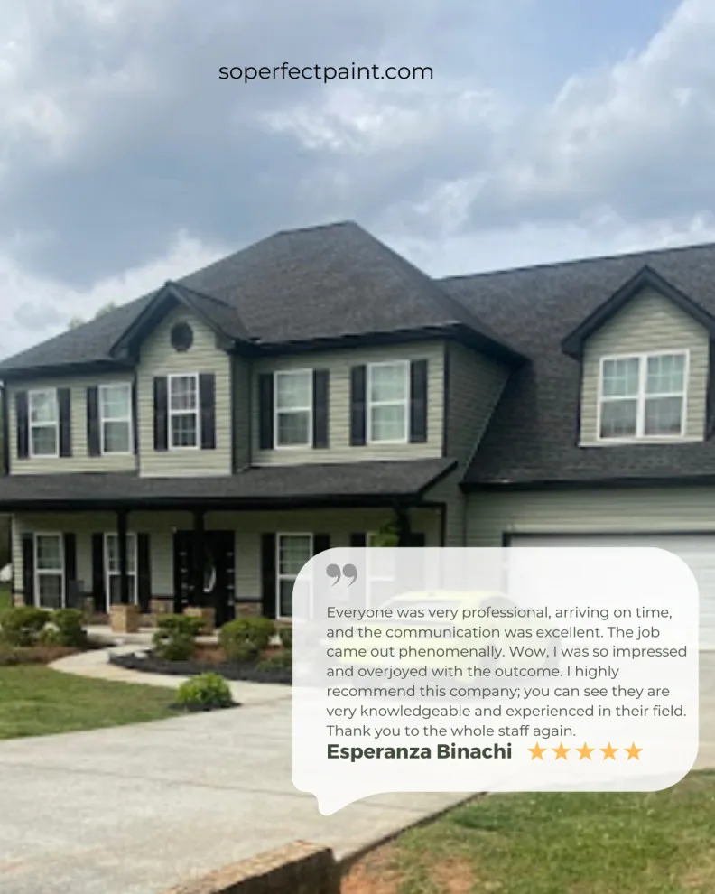 2024 Social Media Advertising by Southern Perfection Painting Inc. - Photo 15