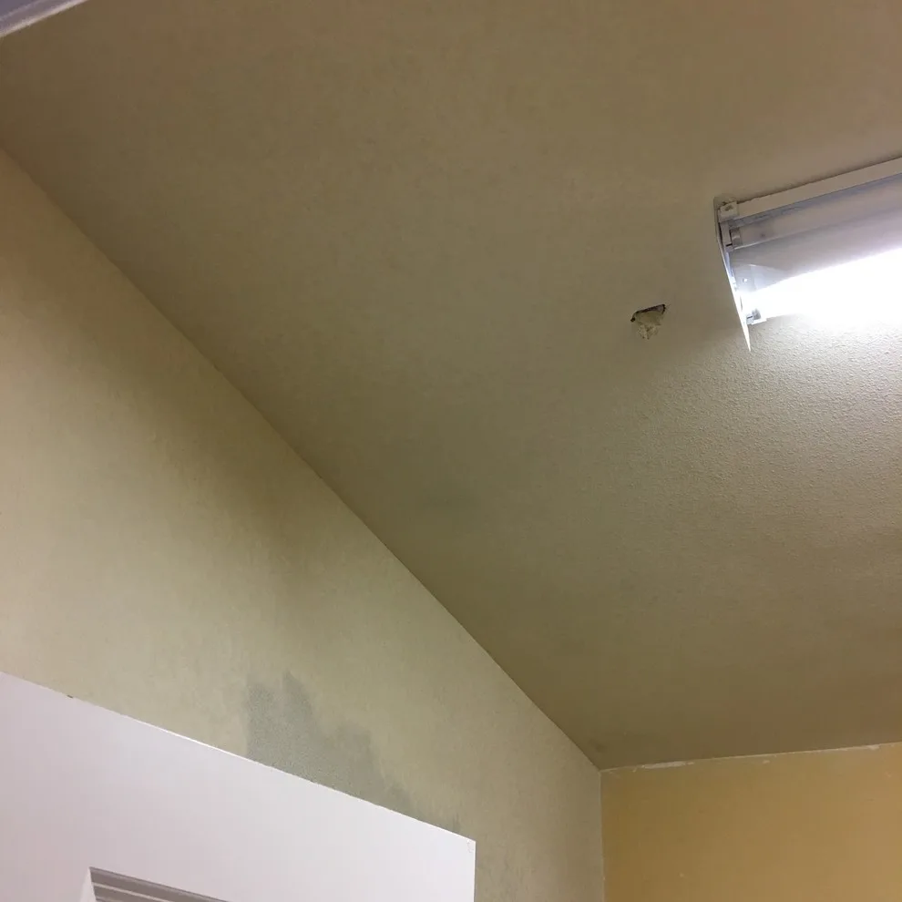 Moisture Restoration, Wall Repair & Painting by Martn Carabajal Painting - Photo 16