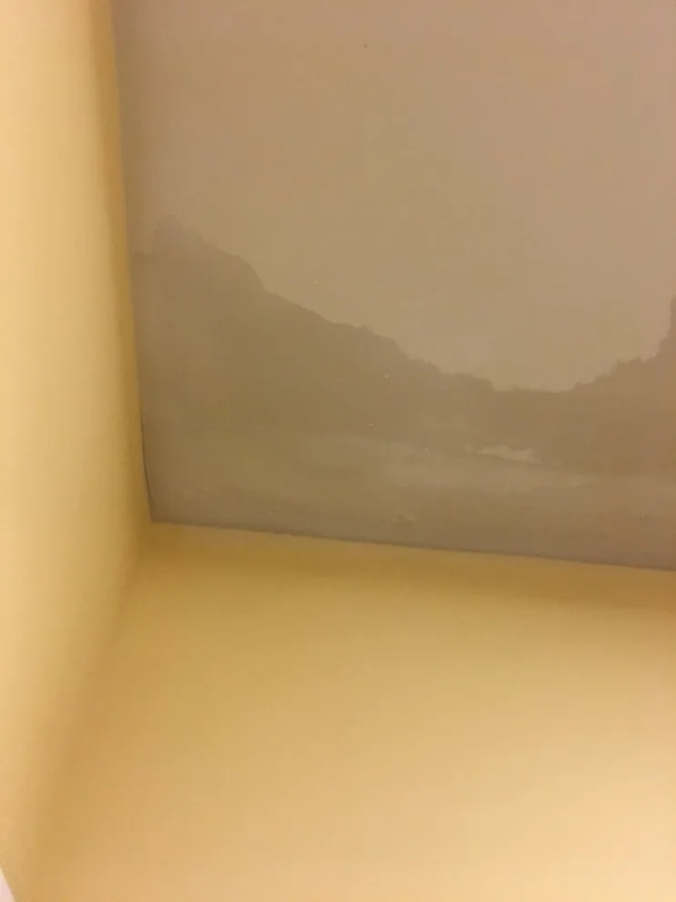 Moisture Restoration, Wall Repair & Painting by Martn Carabajal Painting - Photo 7
